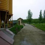 Vagar Novi Sad :: Cântar din beton pentru camioane